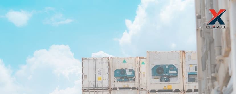 Cold Chain Logistics