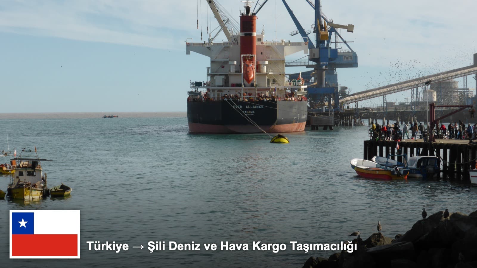 Exporting from Turkey to Chile: Logistics, Documents and Freight Options